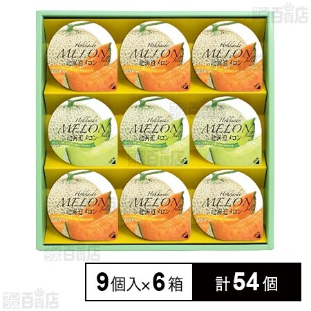 女の子srセット ブルーの探索　カイ フウロ　メロン　ふりそで 100000425872_20231004131636.jpg