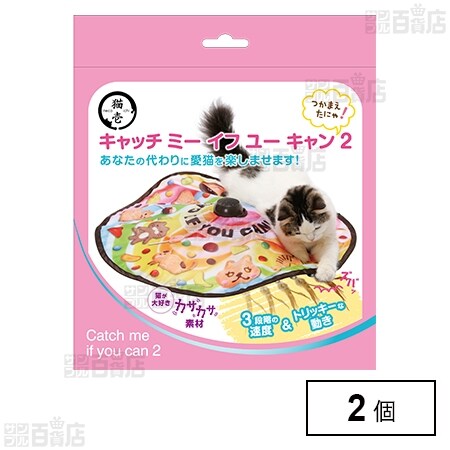 キャッチ・ミー・イフ・ユー・キャン2