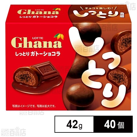 ガーナ しっとりガトーショコラ 42gを税込・送料込でお試し｜サンプル