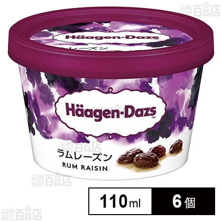 [冷凍]ハーゲンダッツ ミニカップ ラムレーズン 110ml×6個