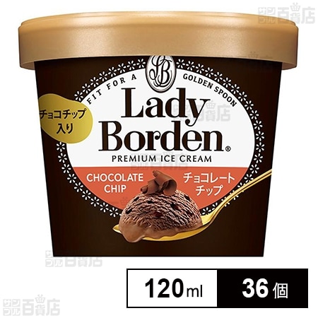 [冷凍]ロッテ レディーボーデン ミニカップ チョコレートチップ 120ml×36個