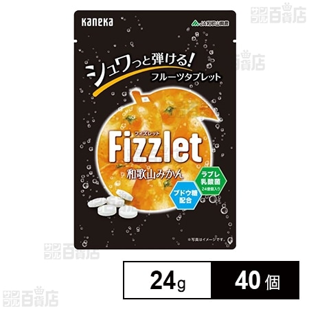 Fizzlet 和歌山みかん 24g