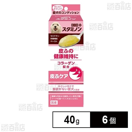 チョイスプラス スタミノン 皮ふケア 40g