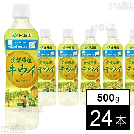 ニッポンエール 愛媛県産キウイ PET 500g