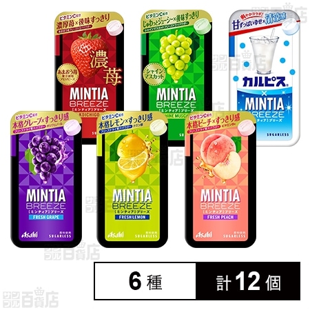 ミンティアブリーズフルーツフレーバー6種セット