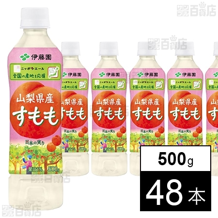 ニッポンエール 山梨県産すもも PET 500g