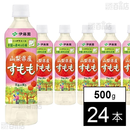 ニッポンエール 山梨県産すもも PET 500g