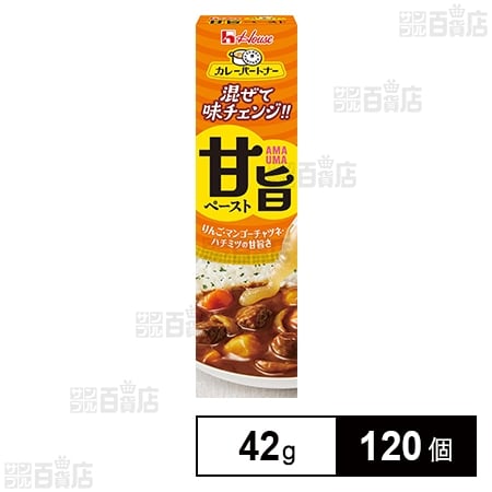 カレーパートナー 甘旨ペースト 42g