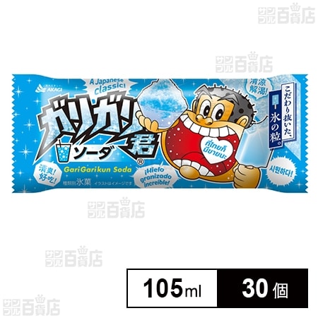 [冷凍]赤城乳業 ガリガリ君ソーダ 105ml×30個