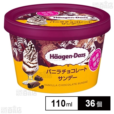ミニカップ バニラチョコレートサンデー 110ml