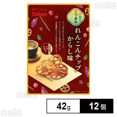 大地のこつまみ れんこんチップ からし味 42g