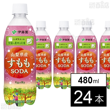 ニッポンエール 山梨県産すももソーダ PET 480ml