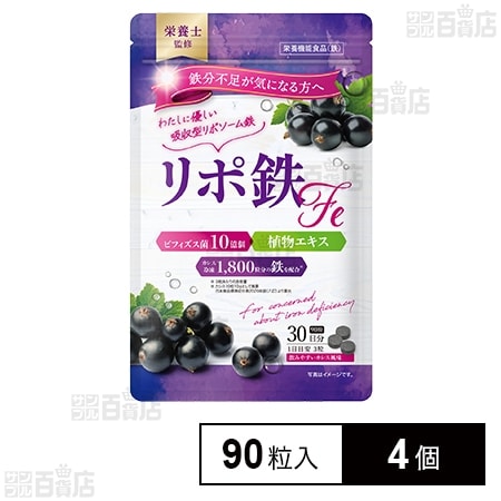 リポ鉄Fe 90粒入