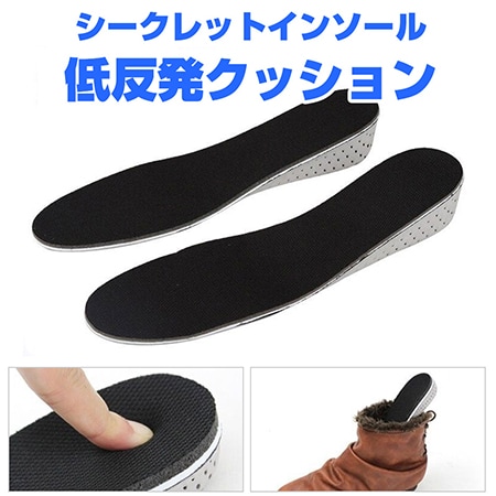 シークレットインソール 2cm