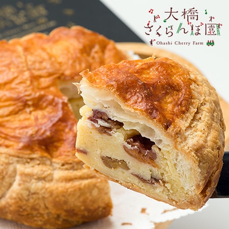 【北海道】大橋さくらんぼ園 さくらんぼパイ(直径14cm×高さ7cm)