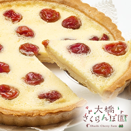 【北海道】大橋さくらんぼ園 さくらんぼチーズタルト(直径18cm×高さ2cm)