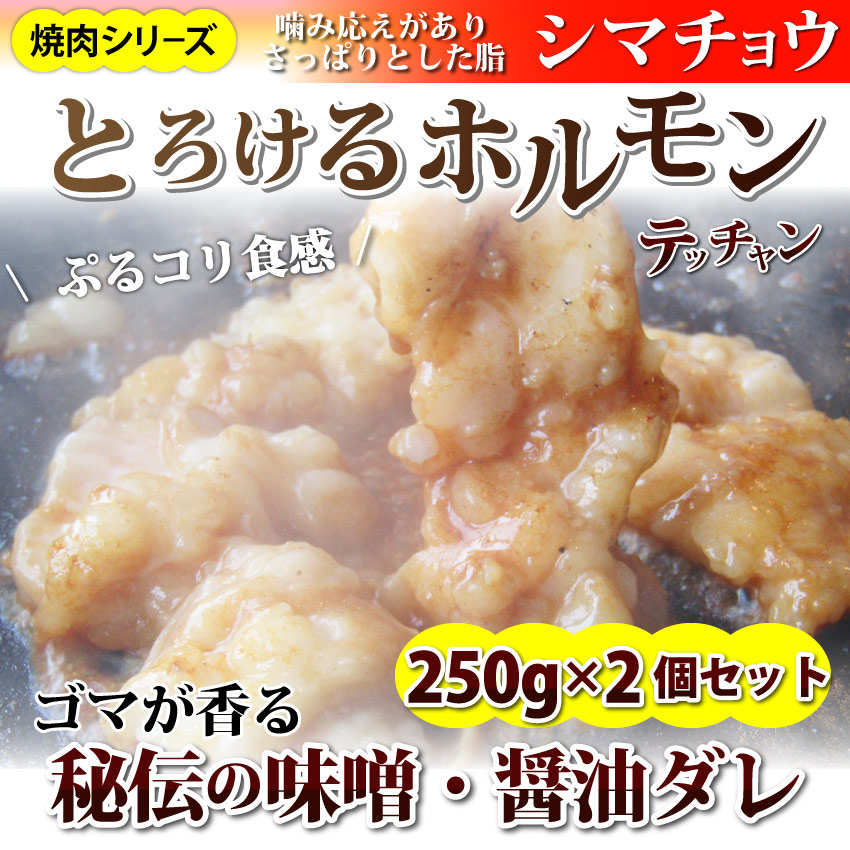 【500g(250g×2)】牛テッチャン タレ漬けホルモン（シマチョウ） 焼肉用