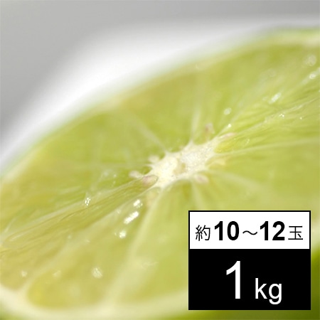 メキシコ産 ライム 1kg