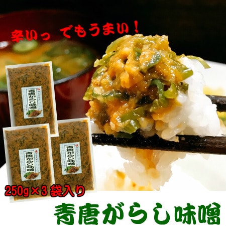 【250g×3袋】青唐がらし味噌
