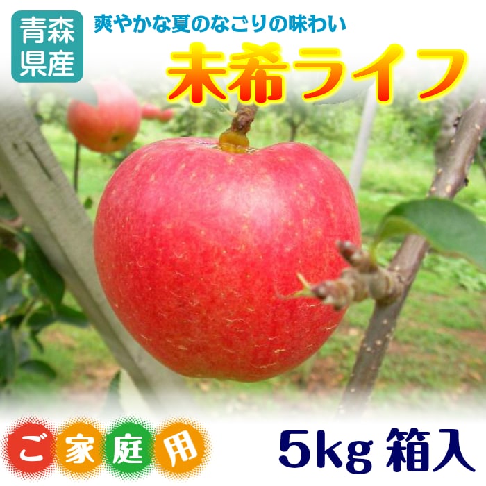 予約受付】9/25~順次出荷【5kg】青森県産りんご 未希ライフ ※ご家庭用