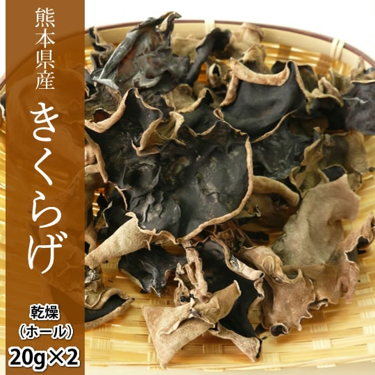 きくらげ 乾燥木耳ホール【計40g(20g×2袋)】 熊本県産