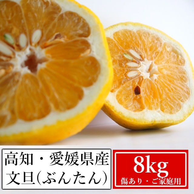 【約8kg】高知・愛媛県産 大豊作文旦(ぶんたん)(ご家庭用・傷あり