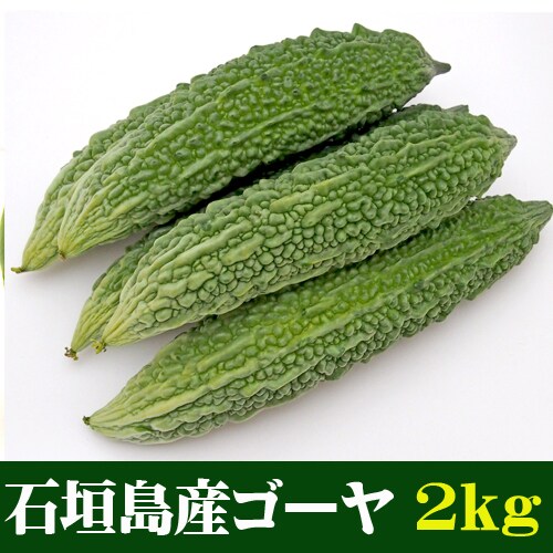 約2kg 4 14本 石垣島産ゴーヤ 苦瓜 規格外 家庭用を税込 送料込でお試し サンプル百貨店 果物と島野菜の店 石垣島農家隊