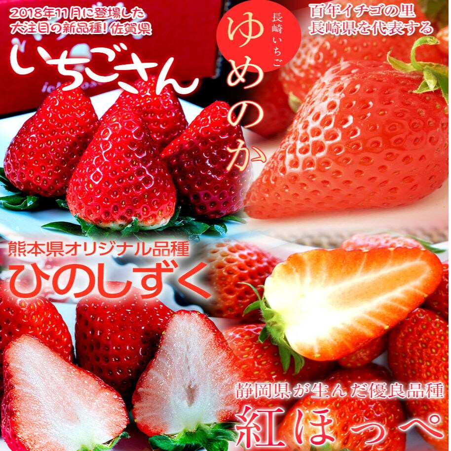 700円クーポン 1kg 4品種 各地のいちごを食べ比べ ブランドいちご福袋第2弾 を税込 送料込でお試し サンプル百貨店 豊洲市場ドットコム