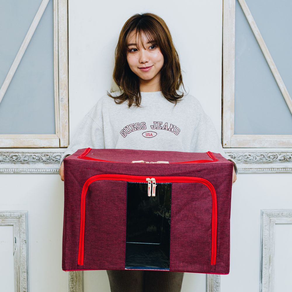 【レッド3個セット】スタッキング窓付き収納ボックス（66L）
