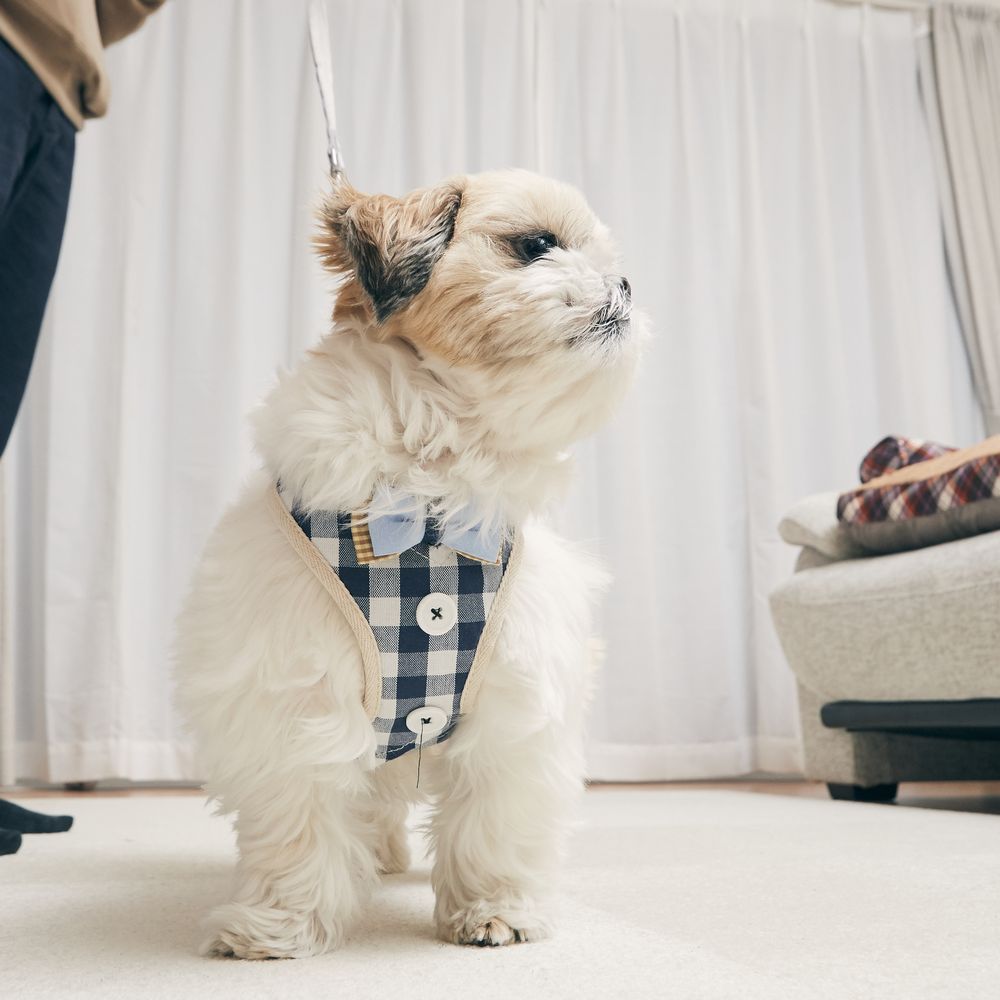 ブルー×チェック【Sサイズ】リード付きペットハーネス