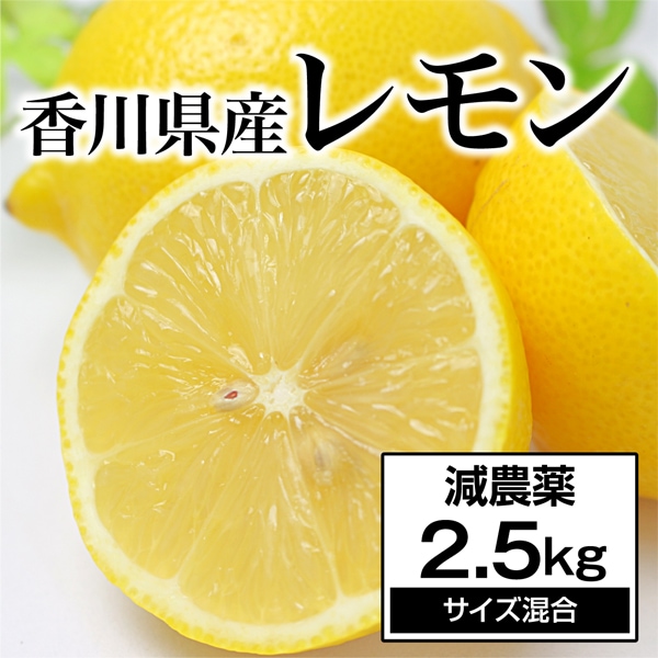 【約2.5kg】香川県産 レモン 減農薬 (多少の傷あり・サイズ混合)