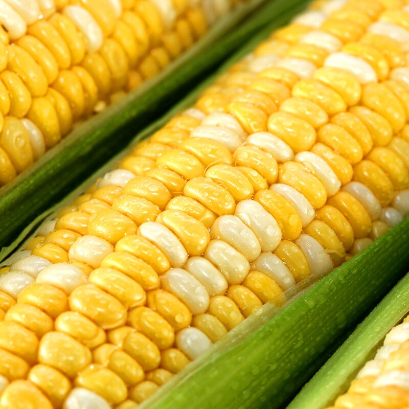 本日限定　徳島県産朝ドリとうもろこし甘々娘 3L(12本)】秀 徳島県産 高糖度とうもろこし 甘々娘を税込・送料込でお