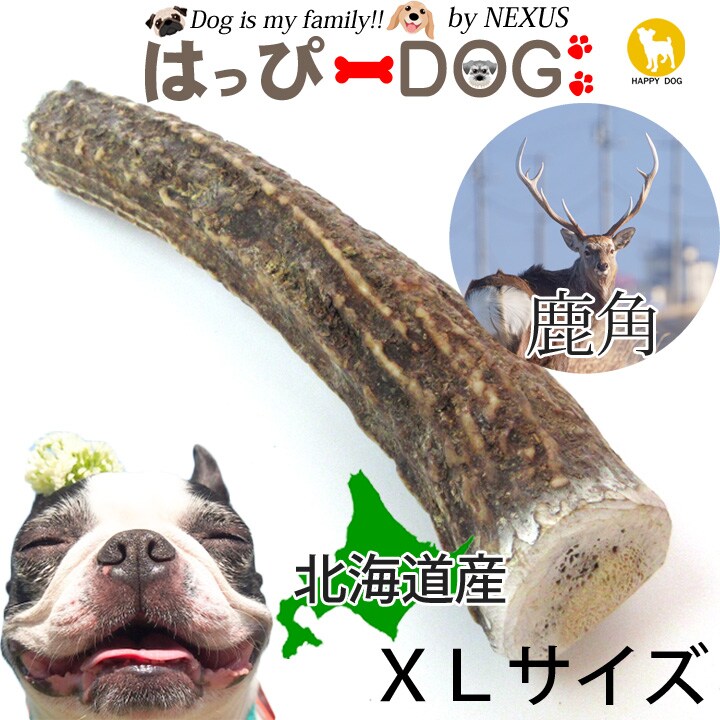 高い素材 超小型犬用 蝦夷鹿の角 半割り3本セット 北海道産 犬 おもちゃ シカ ad-naturam.fr
