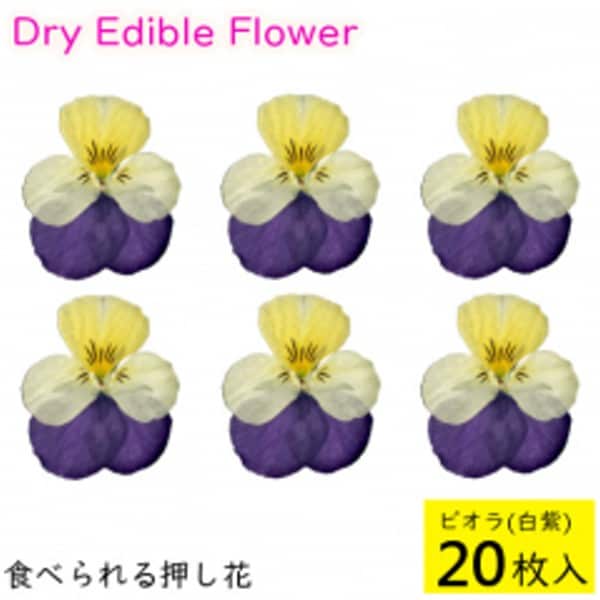 食べられる押し花 ドライエディブルフラワー ビオラ 白紫 枚入りを税込 送料込でお試し サンプル百貨店 おかしのマーチ