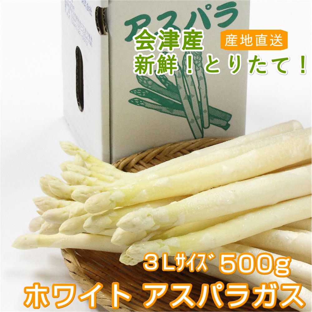 500g 3lサイズ 今が旬 会津産ホワイトアスパラガス 朝採れ新鮮ホワイトアスパラガスを喜多方 福島県 より産地直送