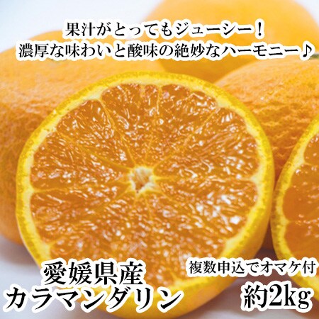 約2kg 愛媛県産 5月に食べられる温州みかん カラマンダリン 良品 を税込 送料込でお試し サンプル百貨店 フルーツショップサニー