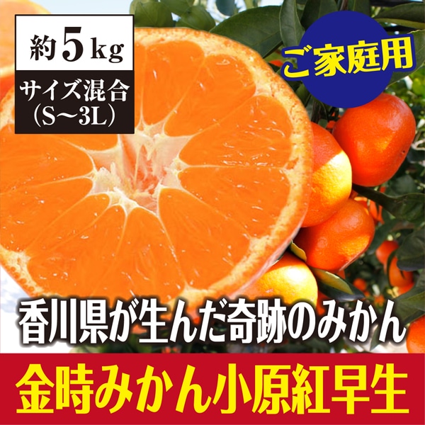 【約5kg(S-3L】 香川県産 小原紅早生みかん(ご家庭用・サイズ混合)