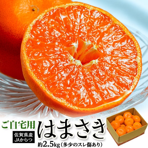 2.5kg】せとかの兄弟の高級みかん はまさき※サイズ不揃い、傷ありを