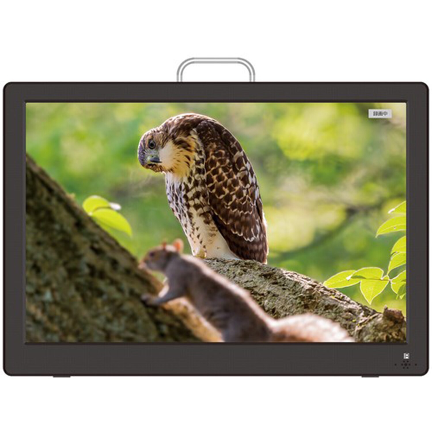 12インチ 液晶テレビ AK-TV121 A-STANCE A-Stance 地上・BS・CSチューナー搭載 12.1inch コンパクトTV AK-TV121