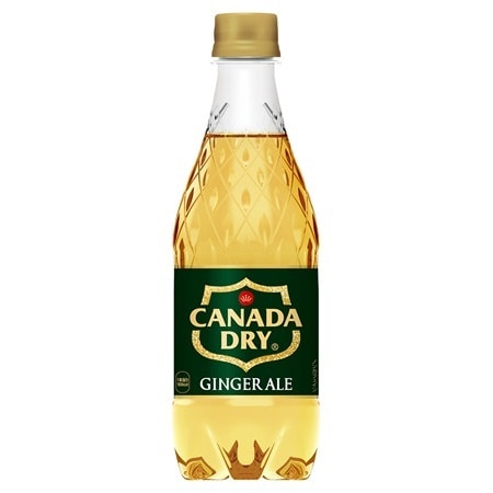 【24本】カナダドライジンジャーエール 500mlPET