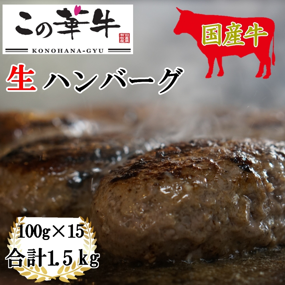 【15個】九州産この華牛 生ハンバーグ