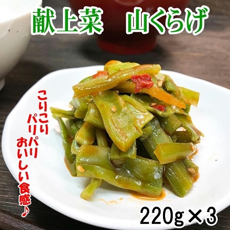 【220g×3袋】献上菜 山クラゲ