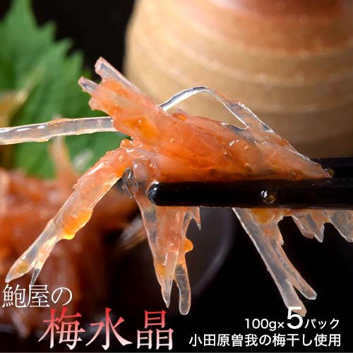 【計500g　100g×5袋】鮑屋の梅水晶  小田原