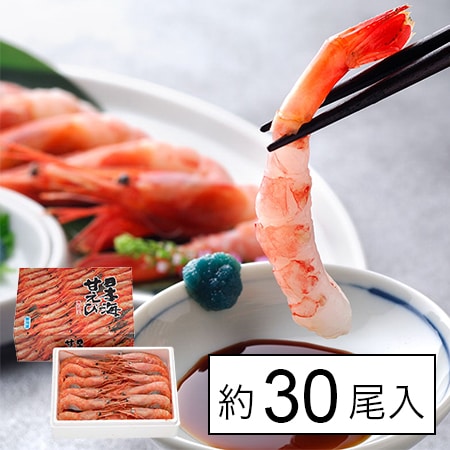 【福井直送】日本海甘えび 子持ち 500g(大30尾)