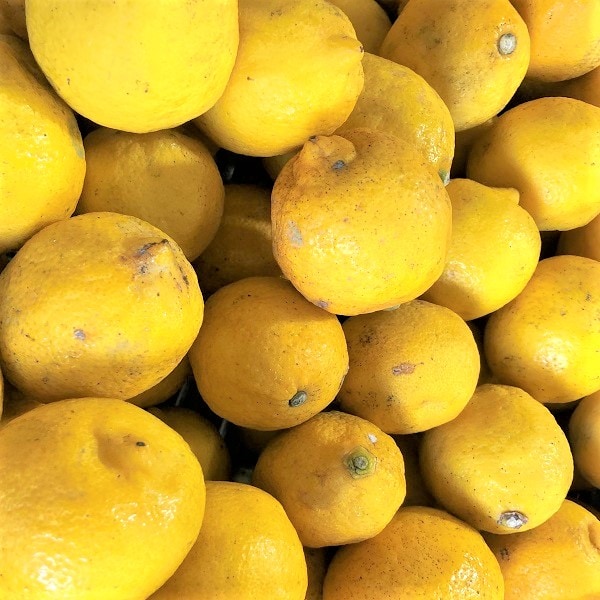 【約2kg】 瀬戸内産 国産レモン(ご家庭用・傷あり)