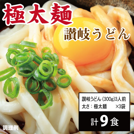 【9食/極太麺】頑固父さんが唸る讃岐生うどん（300g×3）極太麺