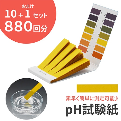 pH試験紙