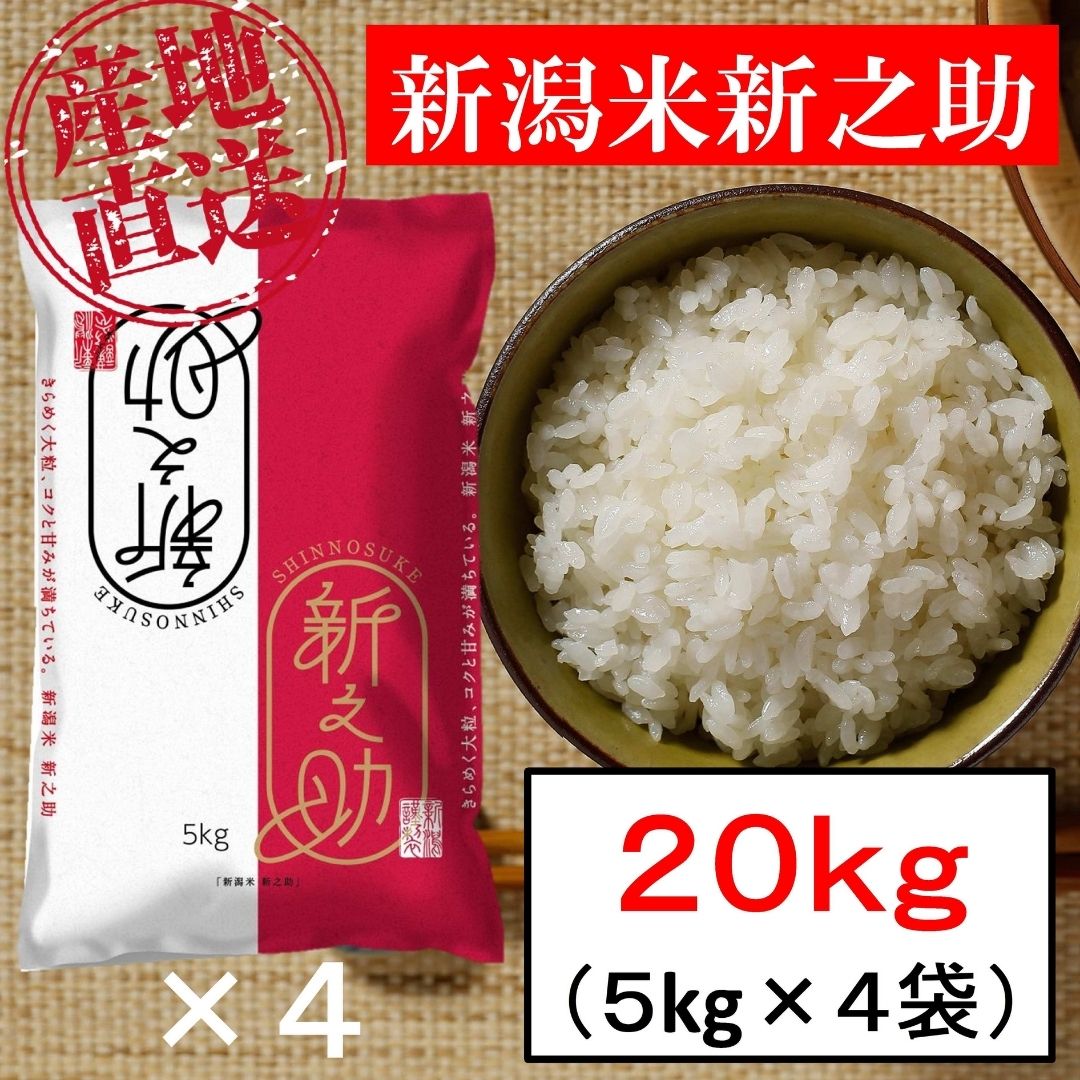 新潟県産新之助極み 白米9㎏(令和4年産)