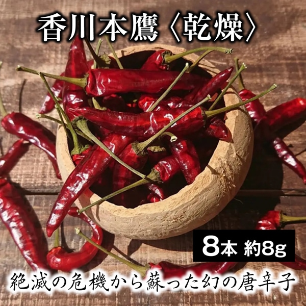 【8本 約8g】香川本鷹（かがわほんたか）＜乾燥＞絶滅の危機から蘇った幻の唐辛子！