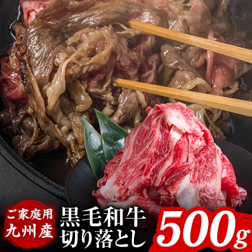 【500g】黒毛和牛切り落とし※ご家庭用
